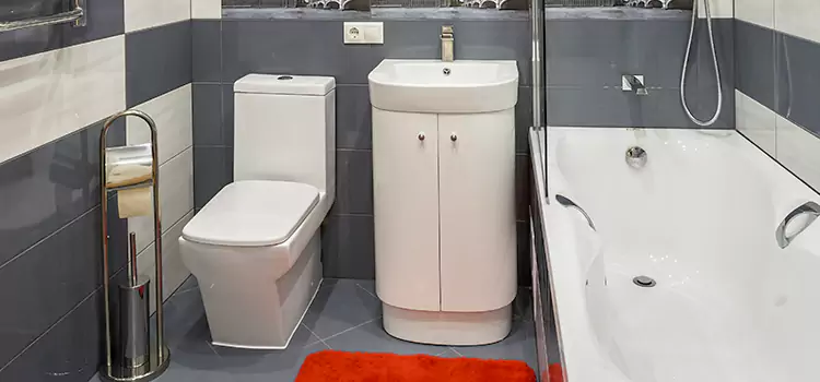 Hansgrohe Shaving Mirror Muskogee